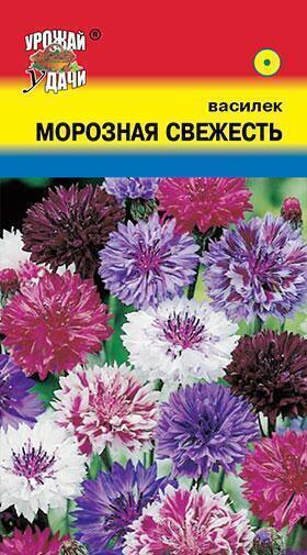 Купить оптом в Ботанике семена Василек Морозная свежесть УУ бренд Урожай Удачи