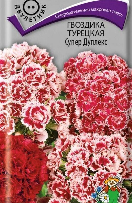 Купить оптом в Ботанике семена Гвоздика турецкая Супер Дуплекс Поиск бренд Поиск