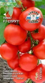 Купить оптом в Ботанике семена Томат Спрут F1 Сед бренд СеДеК