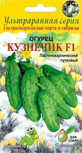 Купить оптом в Ботанике семена Огурец Кузнечик F1 ССО бренд Сортсемовощ