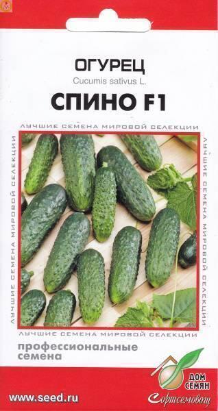 Купить оптом в Ботанике семена Огурец Спино F1 ССО бренд Сортсемовощ