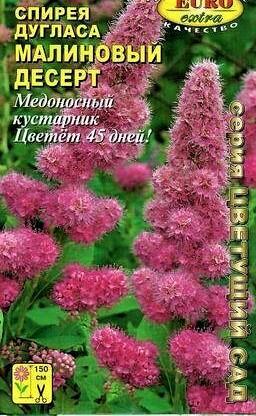 Купить оптом в Ботанике семена Спирея Дугласа Малиновый десерт Аэл бренд Аэлита