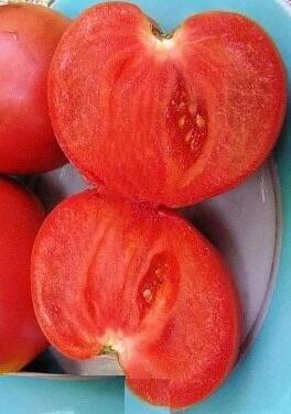 Купить оптом в Ботанике семена Томат Иваныч F1 ран Аэл бренд Аэлита