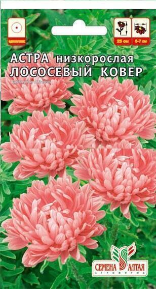Купить оптом в Ботанике семена Астра Лососевый ковер СА бренд Семена Алтая