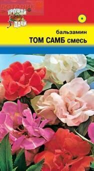 Купить оптом в Ботанике семена Бальзамин Том Самб смесь УУ бренд Урожай Удачи