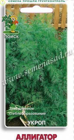 Купить оптом в Ботанике семена Укроп Аллигатор Поиск бренд Поиск
