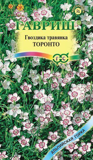 Купить оптом в Ботанике семена Гвоздика травянка Торонто Гав бренд Гавриш