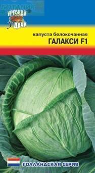 Купить оптом в Ботанике семена Капуста белокочанная Галакси F1 УУ бренд Урожай Удачи