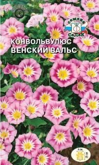 Купить оптом в Ботанике семена Конвольвулюс Венский вальс Сед бренд СеДеК