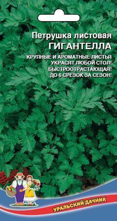 Купить оптом в Ботанике семена Петрушка Гигантелла УД бренд Уральский дачник