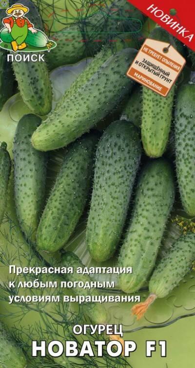 Купить оптом в Ботанике семена Огурец Новатор F1 Поиск бренд Поиск