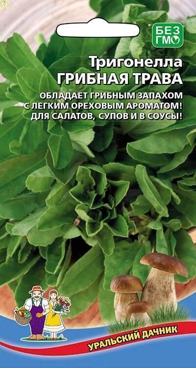 Купить оптом в Ботанике семена Тригонелла Грибная Трава УД бренд Уральский дачник