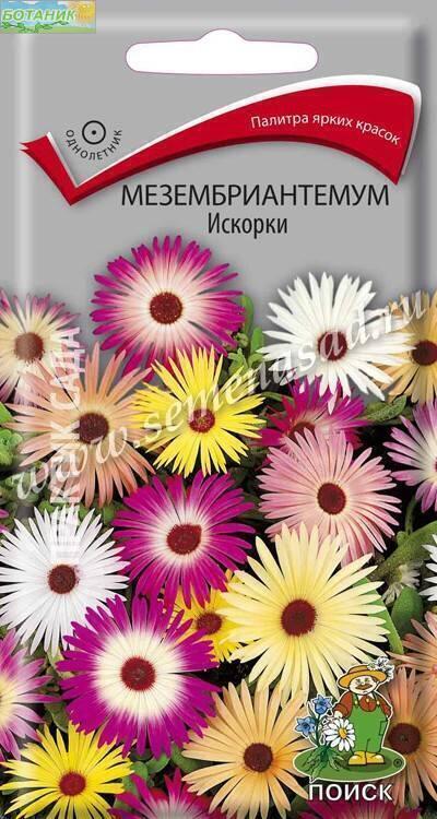 Купить оптом в Ботанике семена Мезембриантемум Искорки Поиск  бренд Поиск