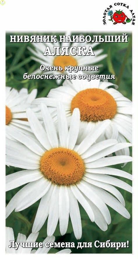 Купить оптом в Ботанике семена Нивянник Аляска ЗС бренд Золотая сотка