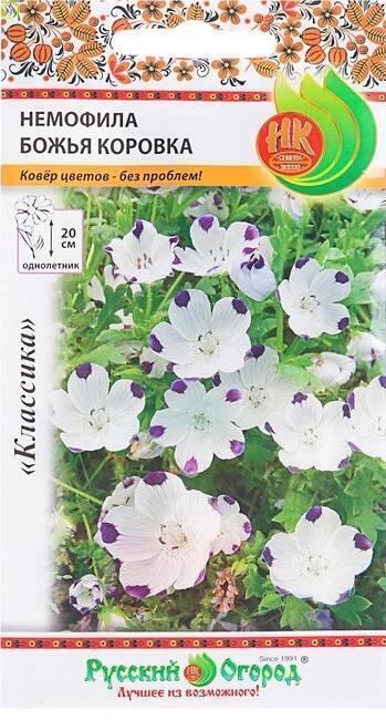 Купить оптом в Ботанике семена Немофила Божья коровка НК бренд НК