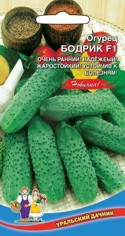 Купить оптом в Ботанике семена Огурец Бодрик F1 УД бренд Уральский дачник