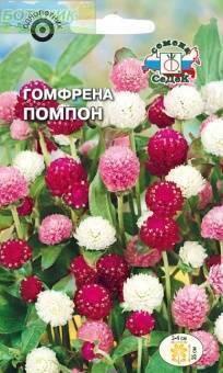 Купить оптом в Ботанике семена Гомфрена Помпон шаровидная смесь Сед бренд СеДеК