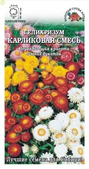 Купить оптом в Ботанике семена Гелихризум Карликовая смесь ЗС бренд Золотая сотка