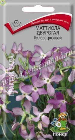 Купить оптом в Ботанике семена Маттиола двурогая Лилово-розовая Поиск бренд Поиск