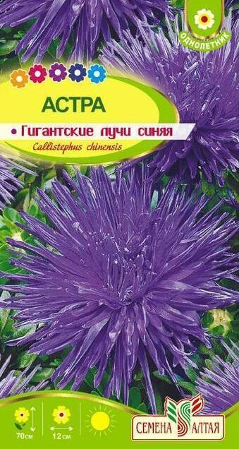 Купить оптом в Ботанике семена Астра Гигантские лучи синяя СА бренд Семена Алтая