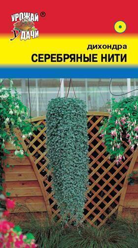 Купить оптом в Ботанике семена Дихондра Серебряные нити УУ бренд Урожай Удачи