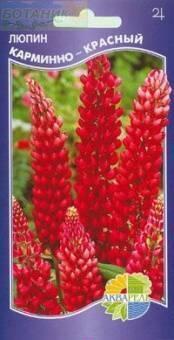 Купить оптом в Ботанике семена Люпин Карминно-красный Акв бренд Акварель
