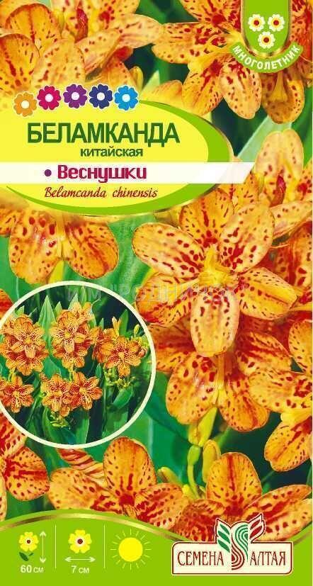 Купить оптом в Ботанике семена Беламканда Веснушки СА бренд Семена Алтая