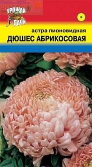 Купить оптом в Ботанике семена Астра Дюшес абрикосовая УУ бренд Урожай Удачи