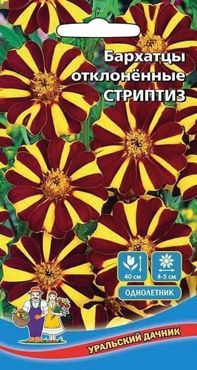 Купить оптом в Ботанике семена Бархатцы Стриптиз УД бренд Уральский дачник