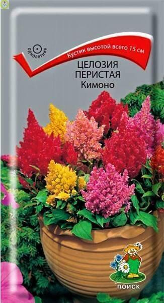 Купить оптом в Ботанике семена Целозия Кимоно перистая Поиск бренд Поиск