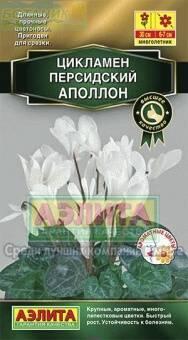 Купить оптом в Ботанике семена Цикламен Аполлон персидский Аэл бренд Аэлита