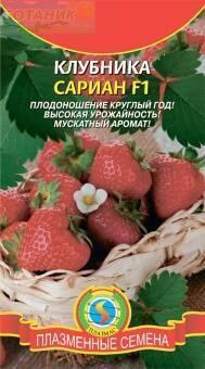 Купить оптом в Ботанике семена Клубника Сариан F1 Плз бренд Плазмас