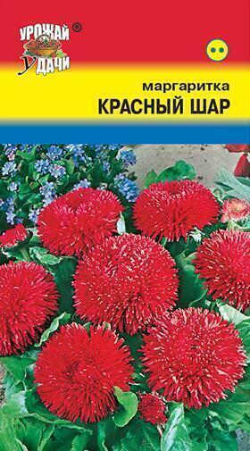 Купить оптом в Ботанике семена Маргаритка Красный шар УУ бренд Урожай Удачи