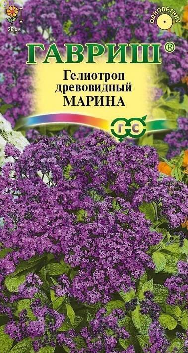 Купить оптом в Ботанике семена Гелиотроп Марина древовидный Гав бренд Гавриш