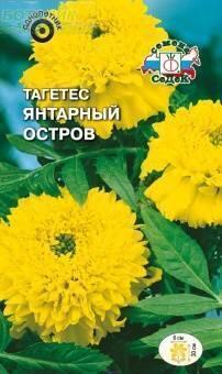 Купить оптом в Ботанике семена Бархатцы Янтарный остров* Сед бренд СеДеК