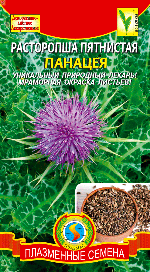 Купить оптом в Ботанике семена Расторопша Панацея пятнистая Плз бренд Плазмас