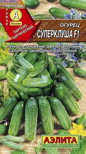 Купить оптом в Ботанике семена Огурец Суперклуша F1 Аэл бренд Аэлита