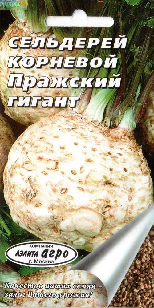 Купить оптом в Ботанике семена Сельдерей Максим корневой Аэл бренд Аэлита