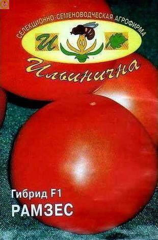 Купить оптом в Ботанике семена Томат Рамзес F1 Иль бренд Ильинична