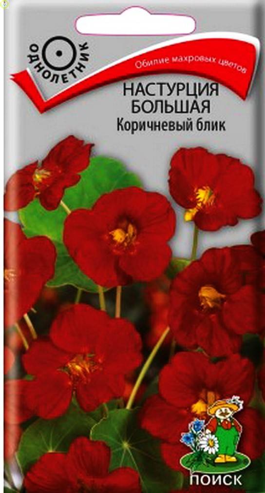 Купить оптом в Ботанике семена Настурция Коричневый блик Поиск бренд Поиск