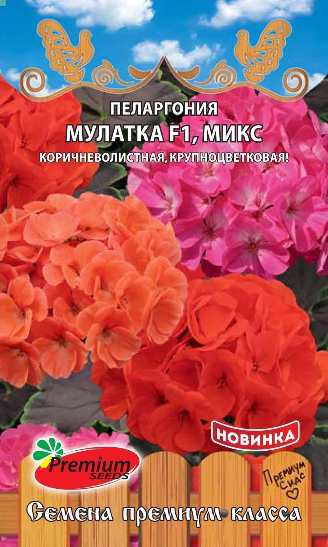 Купить оптом в Ботанике семена Пеларгония Мулатка микс F1 ПС бренд Премиум Сидс