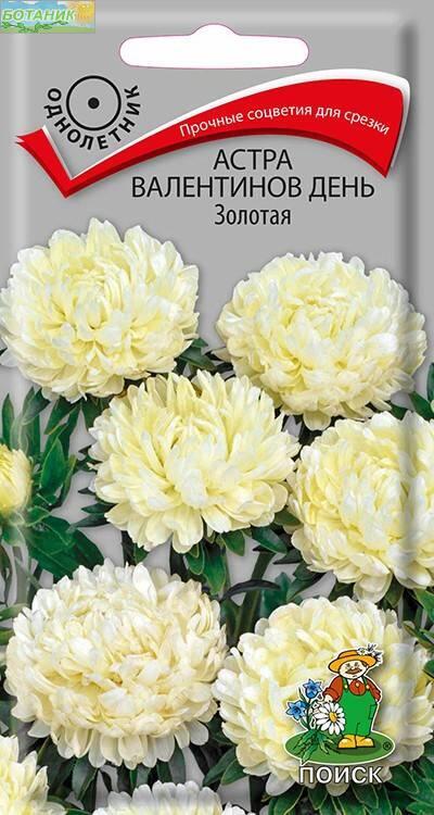 Купить оптом в Ботанике семена Астра Валентинов день золотая Поиск бренд Поиск
