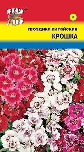 Купить оптом в Ботанике семена Гвоздика китайская Крошка УУ бренд Урожай Удачи