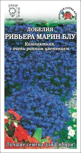 Купить оптом в Ботанике семена Лобелия Ривьера Марин Блу ЗС бренд Золотая сотка