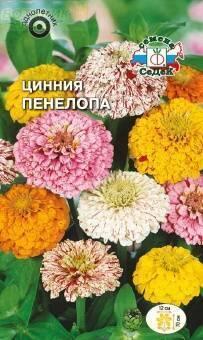 Купить оптом в Ботанике семена Цинния Пенелопа Сед бренд СеДеК