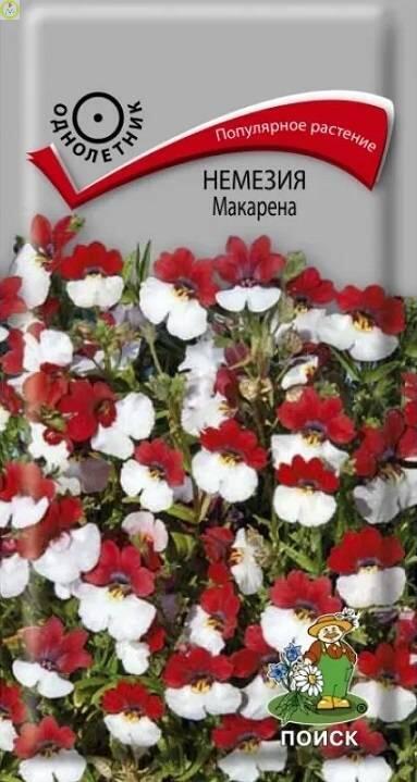 Купить оптом в Ботанике семена Немезия Макарена Поиск бренд Поиск