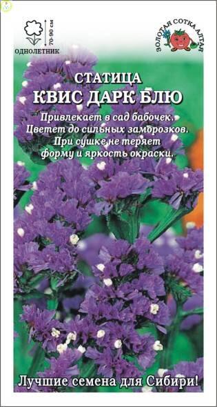 Купить оптом в Ботанике семена Статица Квис Дарк блу ЗС бренд Золотая сотка