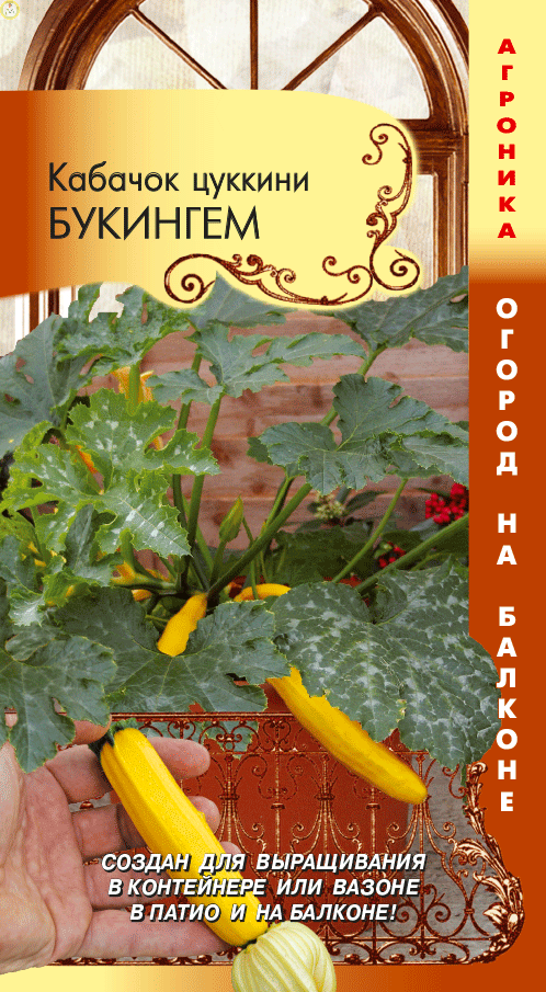 Купить оптом в Ботанике семена Кабачок Букингем цуккини Плз бренд Плазмас