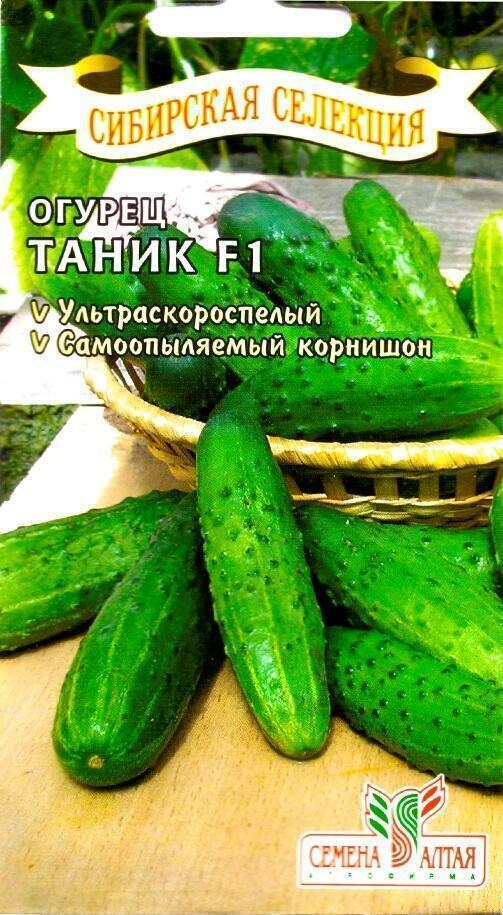Купить оптом в Ботанике семена Огурец Таник F1 СА бренд Семена Алтая