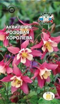 Купить оптом в Ботанике семена Аквилегия Розовая королева Сед бренд СеДеК